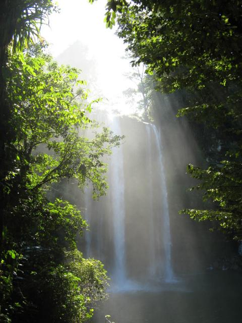 The beautiful Misol Ha waterfalls